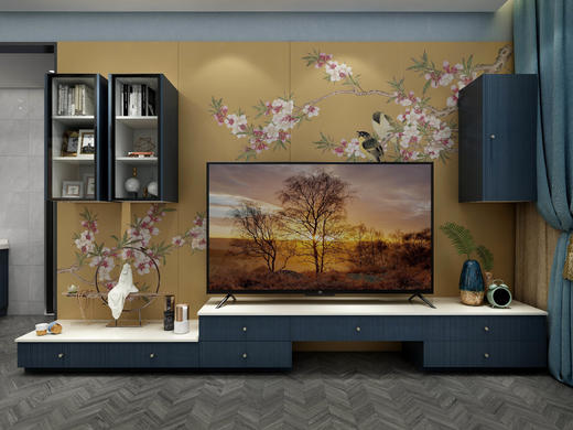 意墨新中电视柜 商品图0