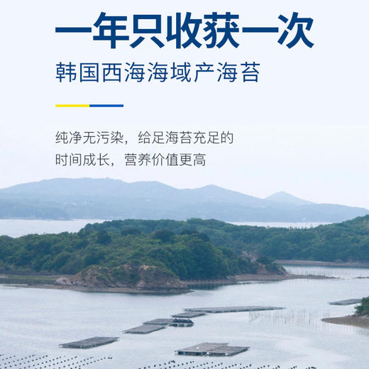 韩国那都婴儿海苔宝宝幼儿童即食零食0糖1-2-3岁拌饭料 商品图3