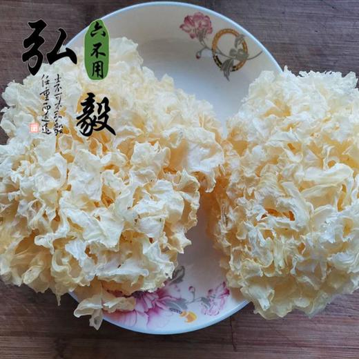 【弘毅六不用生态农场】六不用 银耳 自然色 160克/份 商品图1