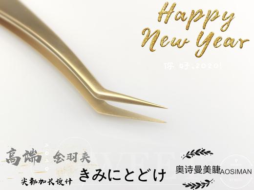 高精密度美睫专用镊子 透明盒装 商品图1