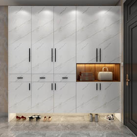 现代·轻奢鞋柜