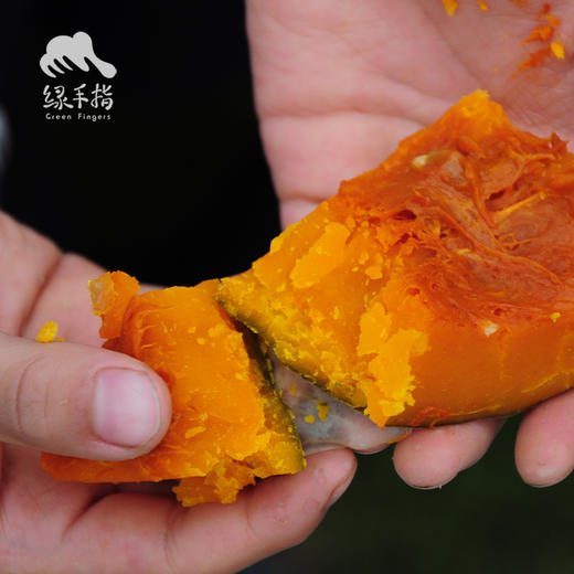 生态板栗南瓜| 合作生产*Chestnut pumpkin(little over saccharification）| Coproduction 商品图3