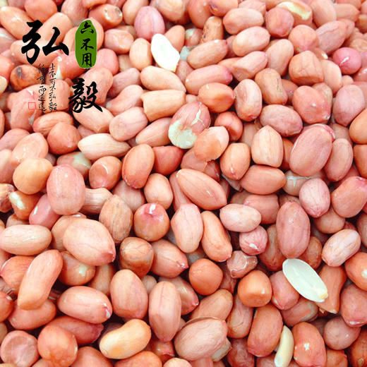 【弘毅六不用生态农场】六不用  露地种植 花生米 商品图1