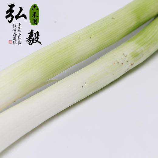 【弘毅六不用生态农场】六不用 大葱 露地种植 商品图1