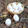 五谷生态散养 ·福建连城白鹭鸭蛋  地标产品 700年历史 商品缩略图2