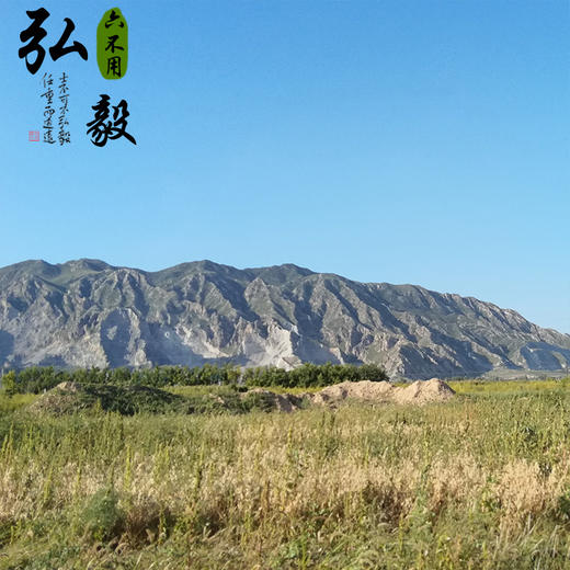 【弘毅六不用生态农场】六不用 燕麦片 裸燕麦片（1斤装） 商品图3