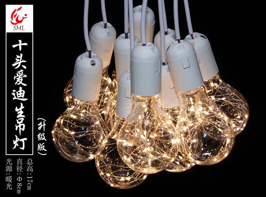 10头爱迪生灯串（铜丝灯款）【运费自理】 商品图1