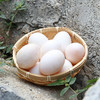 五谷生态散养 ·福建连城白鹭鸭蛋  地标产品 700年历史 商品缩略图3