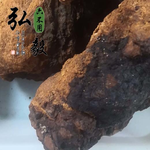 【弘毅六不用生态农场】六不用 天然 桦树茸 250克/份 商品图1