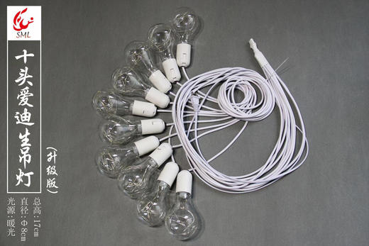 10头爱迪生灯串（铜丝灯款）【运费自理】 商品图2