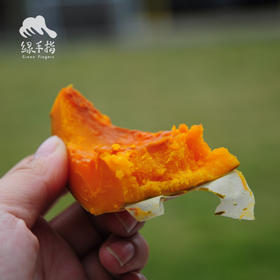 生态板栗南瓜| 合作生产*Chestnut pumpkin(little over saccharification）| Coproduction
