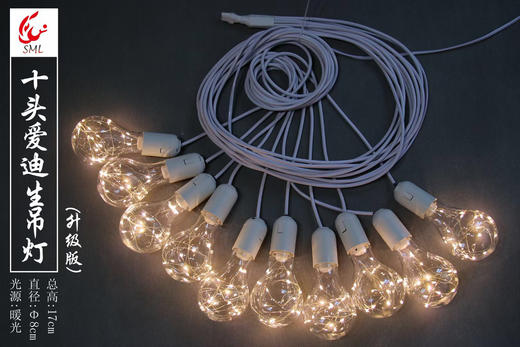 10头爱迪生灯串（铜丝灯款）【运费自理】 商品图0