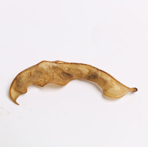 【弘毅六不用生态农场】六不用 篱豆干 农场自留种 0.5斤/份 商品图1