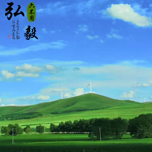 【弘毅六不用生态农场】内蒙草原地道牛肉干 （原味）  250g/份 商品图3