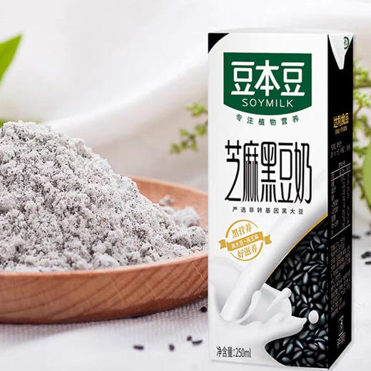 豆本豆芝麻黑豆奶3升250ml12提
