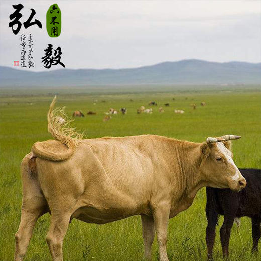 【弘毅六不用生态农场】内蒙草原地道牛肉干 （原味）  250g/份 商品图1