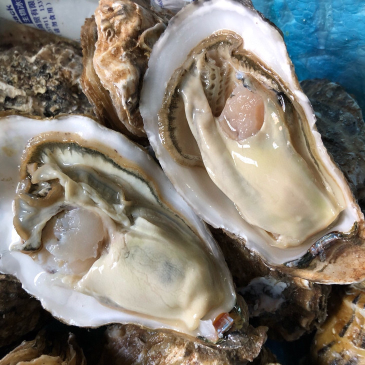 山东威海乳山生蚝纯净海域新鲜肥美现捞现发顺丰直达