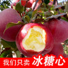 正宗新疆阿克苏苹果/精选大果 商品缩略图1
