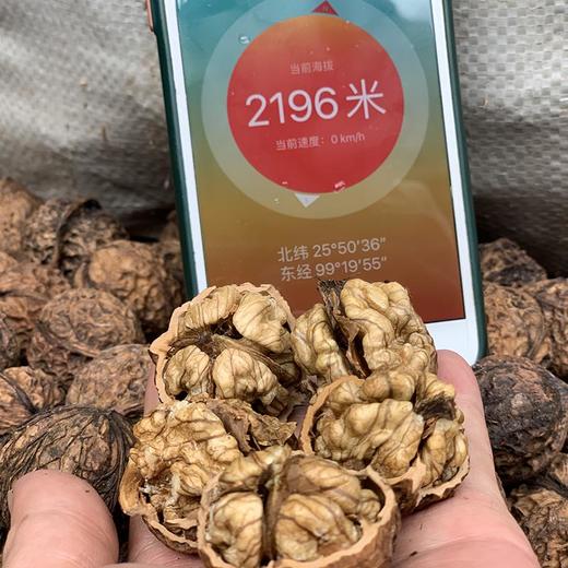 『云南野生甜味核桃』深山原生态干核桃，果仁醇香，不涩口、更油润，嚼起来有韧劲 商品图2