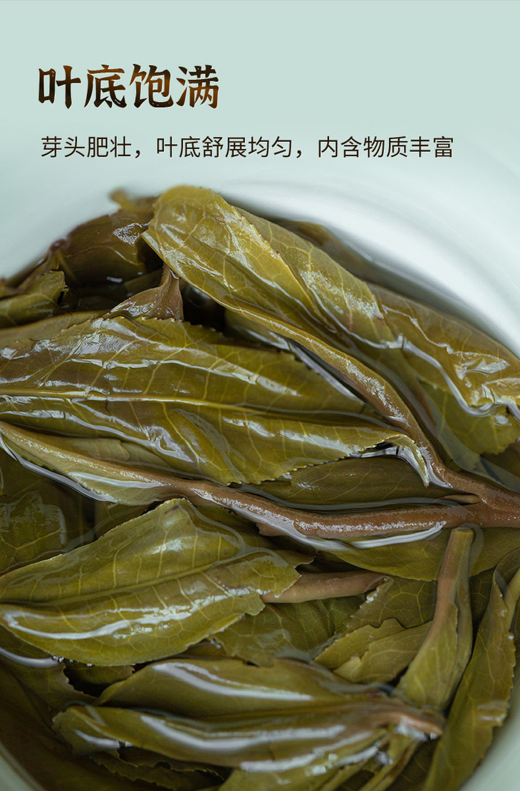 茶叶 坝卡囡 普洱 生茶饼 正宗云南古树茶 方格饼茶 五虎 100g