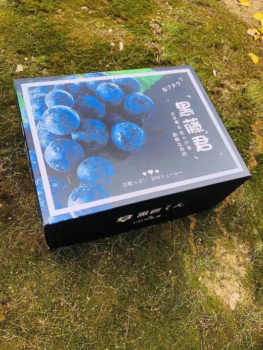黑藤君黑藤巨峰葡萄集甜香鲜于一身颗颗晶莹饱满犹如一串串黑珍珠光彩
