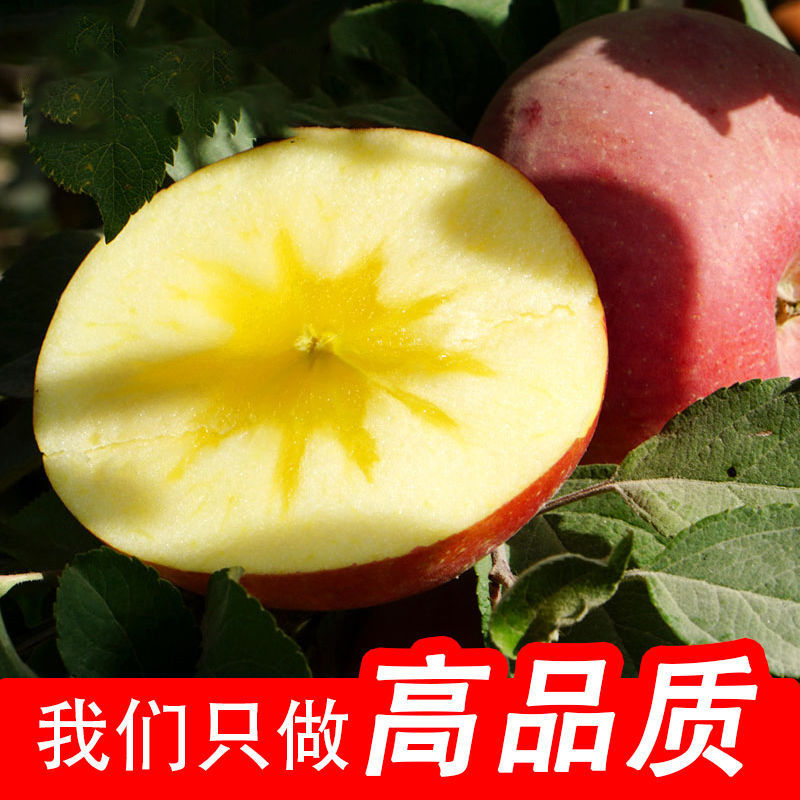17.5°阿克苏 仅售78/箱(原价90 约6500g/含包装) ! 正宗新疆阿克苏冰糖心苹果