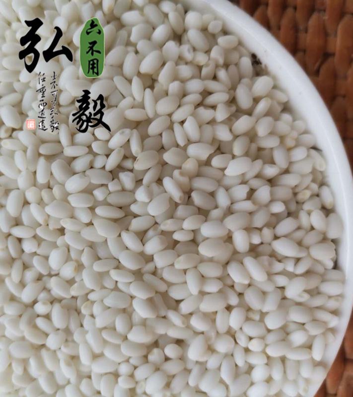 【弘毅六不用生态农场】六不用 糯米 东北黑土地产品 1斤/份