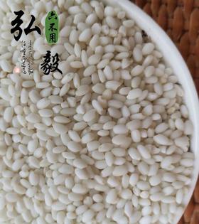 【弘毅六不用生态农场】六不用 糯米 东北黑土地产品 1斤/份