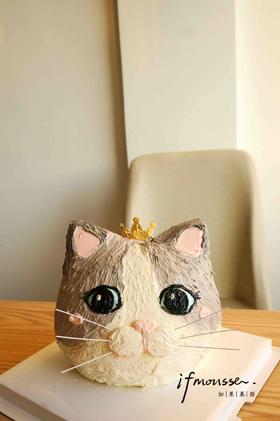 「创意定制」布偶猫 定制 小软软同款