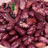 【弘毅六不用生态农场】六不用 红花豆 东北特产 1斤/份 商品缩略图2