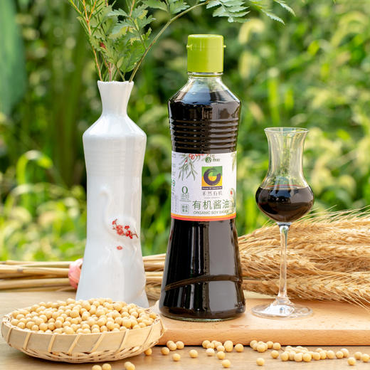 禾然有机酱油 | 公平贸易*Hona Organic soy sauce | Fair trade 商品图2