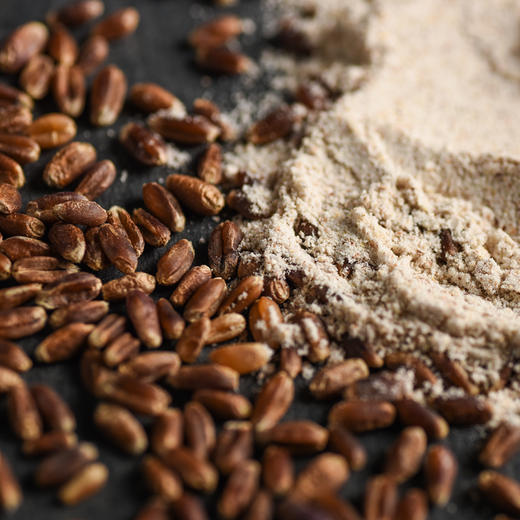 山东石磨黑全麦面粉 优质粗粮  麦香纯正 有嚼劲的面食     500g/袋 商品图3