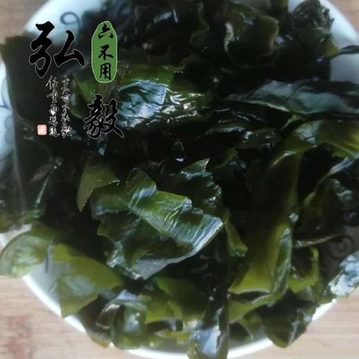 【弘毅六不用生态农场】天然海产品 裙带菜 （干）凉拌或做汤 150克/份 商品图0