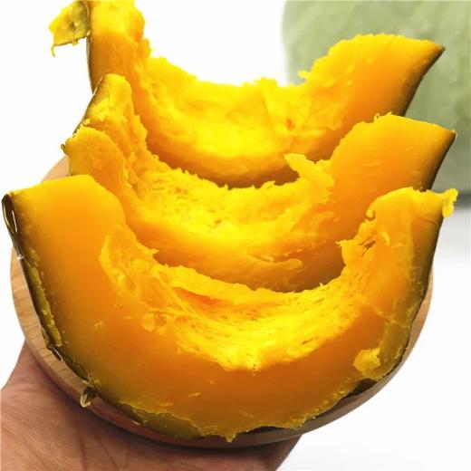 板栗金丝楠瓜 商品图0