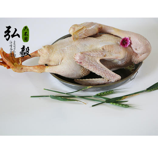 生态散养大白鹅 6斤/份 以实际重为准 联系客服多退少补 商品图4