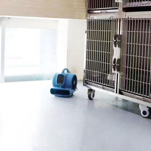 美事滴XPOWER香风机P-250NT负离子除异味净化空气流通烘干 商品图2