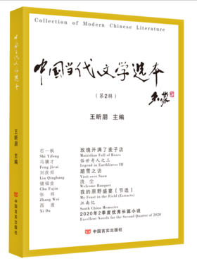 中国当代文学选本.第2辑