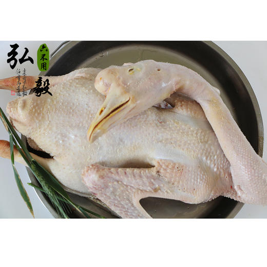 生态散养大白鹅 6斤/份 以实际重为准 联系客服多退少补 商品图3