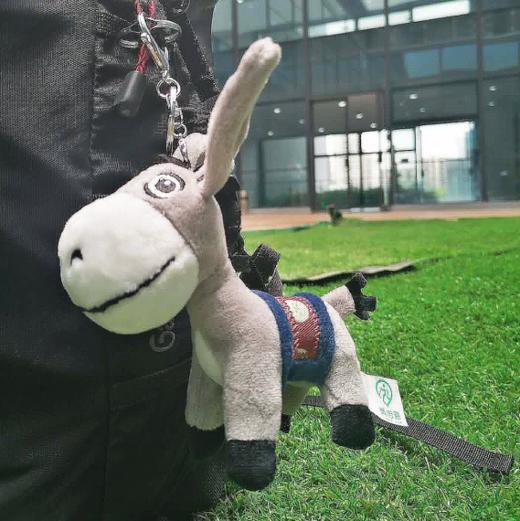 两步路驴友 小驴公仔定制款 赛事纪念品卡通吉祥物 小驴 公仔背包挂件步小驴 商品图2