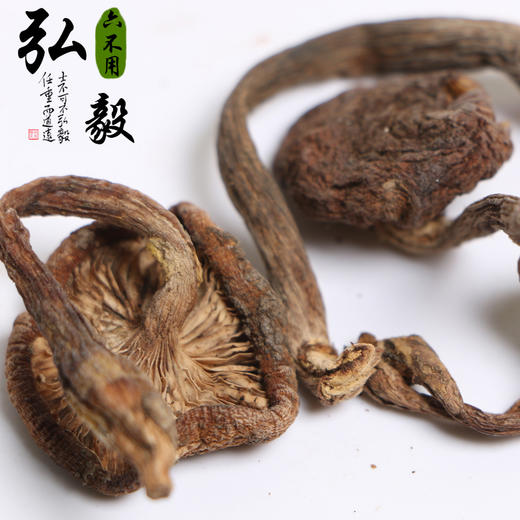 【弘毅六不用生态农场】六不用 榛菇 榛蘑  250g/份 商品图2