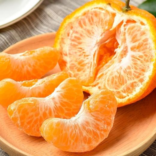 长阳清江椪柑 商品图5