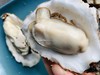 山东威海乳山生蚝 商品缩略图0