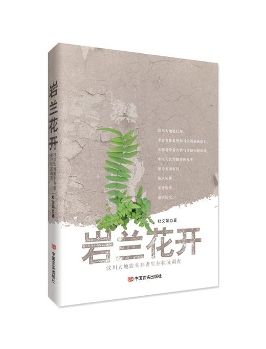 岩兰花开 商品图0