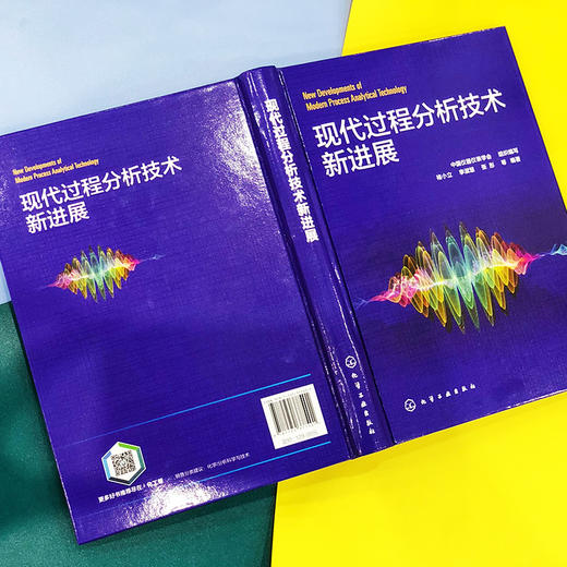 现代过程分析技术新进展 商品图4