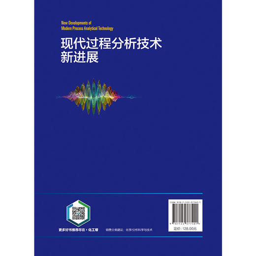 现代过程分析技术新进展 商品图7