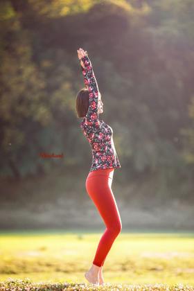 爆款好货 淑女版圆领长袖-玫瑰红