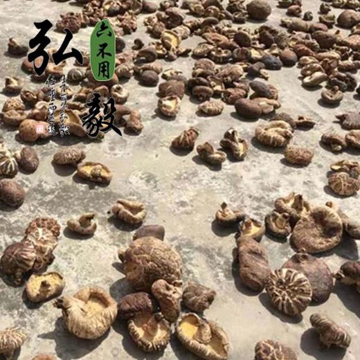 【弘毅生态农场】香菇100克/份 三份包邮 商品图4