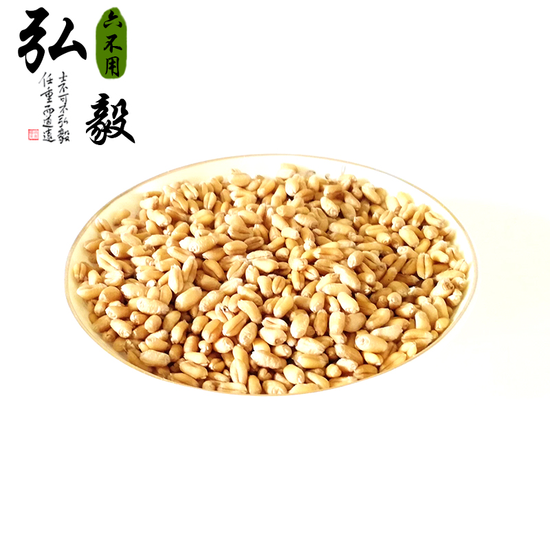 【弘毅六不用生态农场】六不用 传统小麦粒 自留种种植 10斤/份