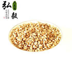 【弘毅六不用生态农场】六不用 传统小麦粒 自留种种植 10斤/份