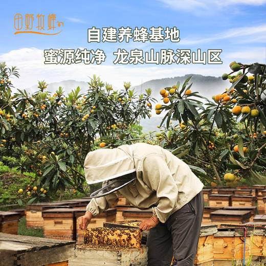 田野牧蜂成熟枇杷蜜苏先生高活性蜂蜜孕妇儿童成人适用 商品图3